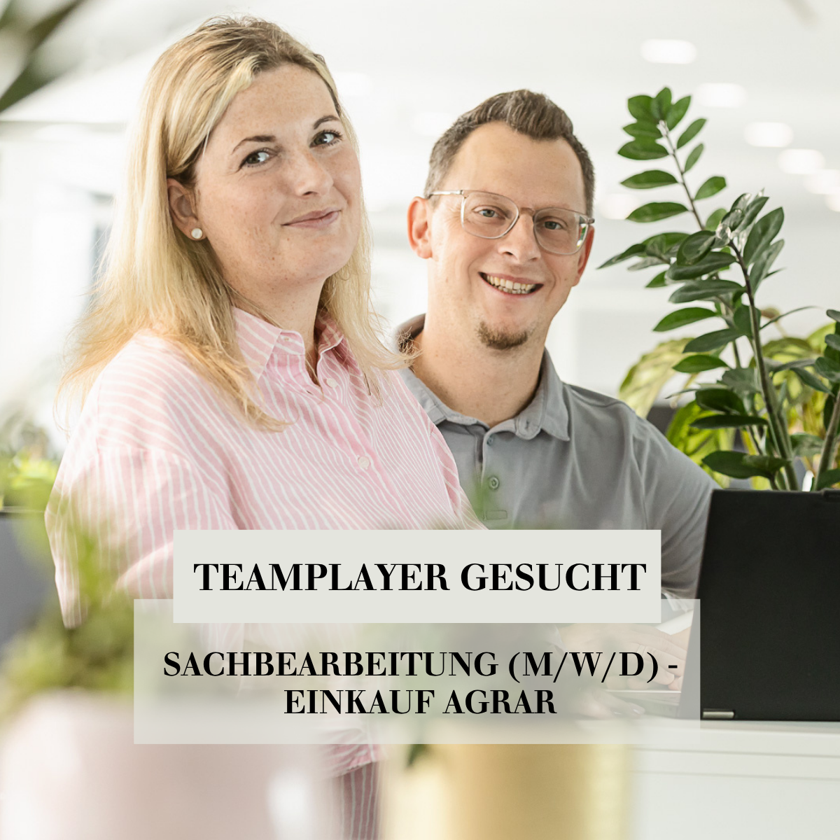 Dehner Karriere Facebook ad