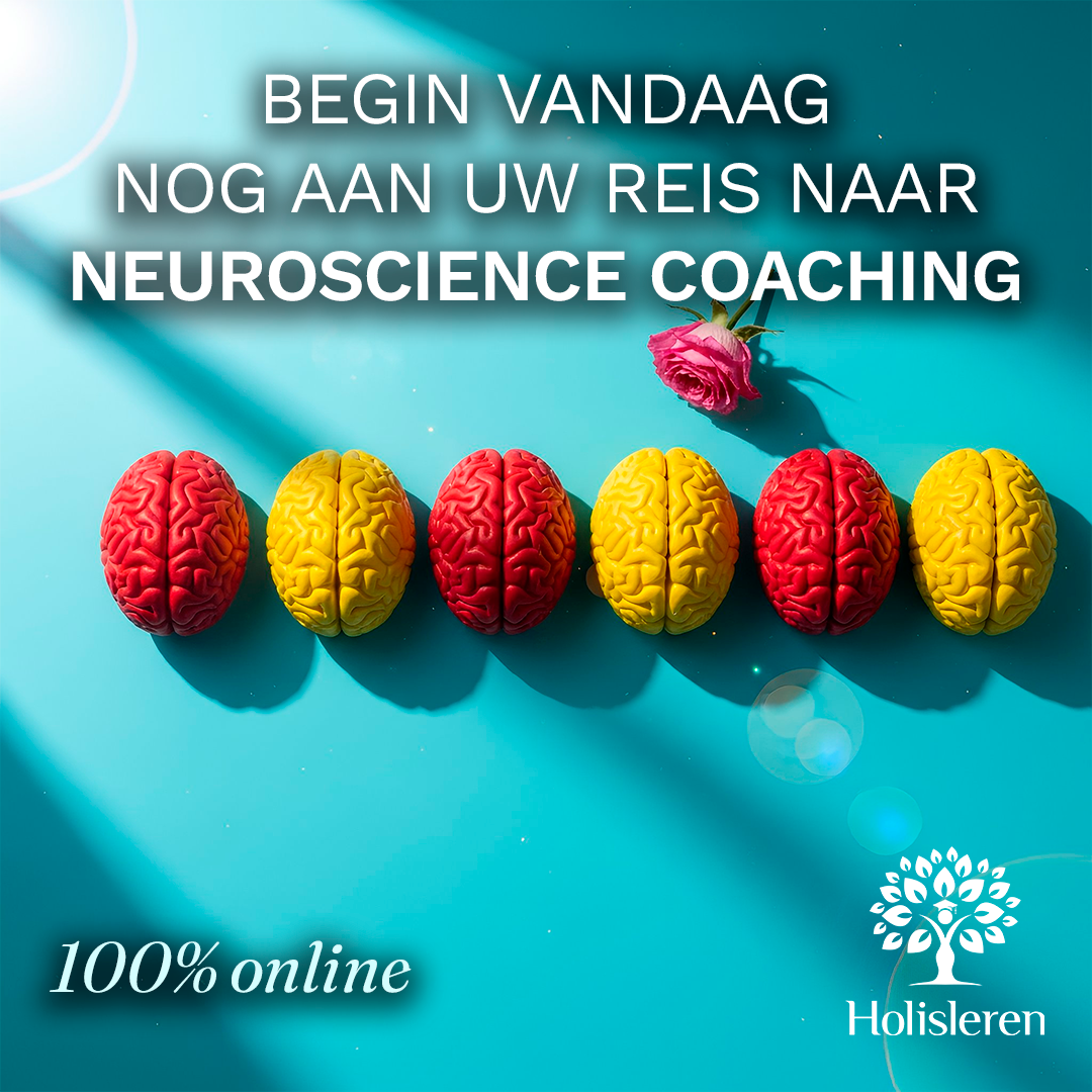 Holisleren Facebook ad