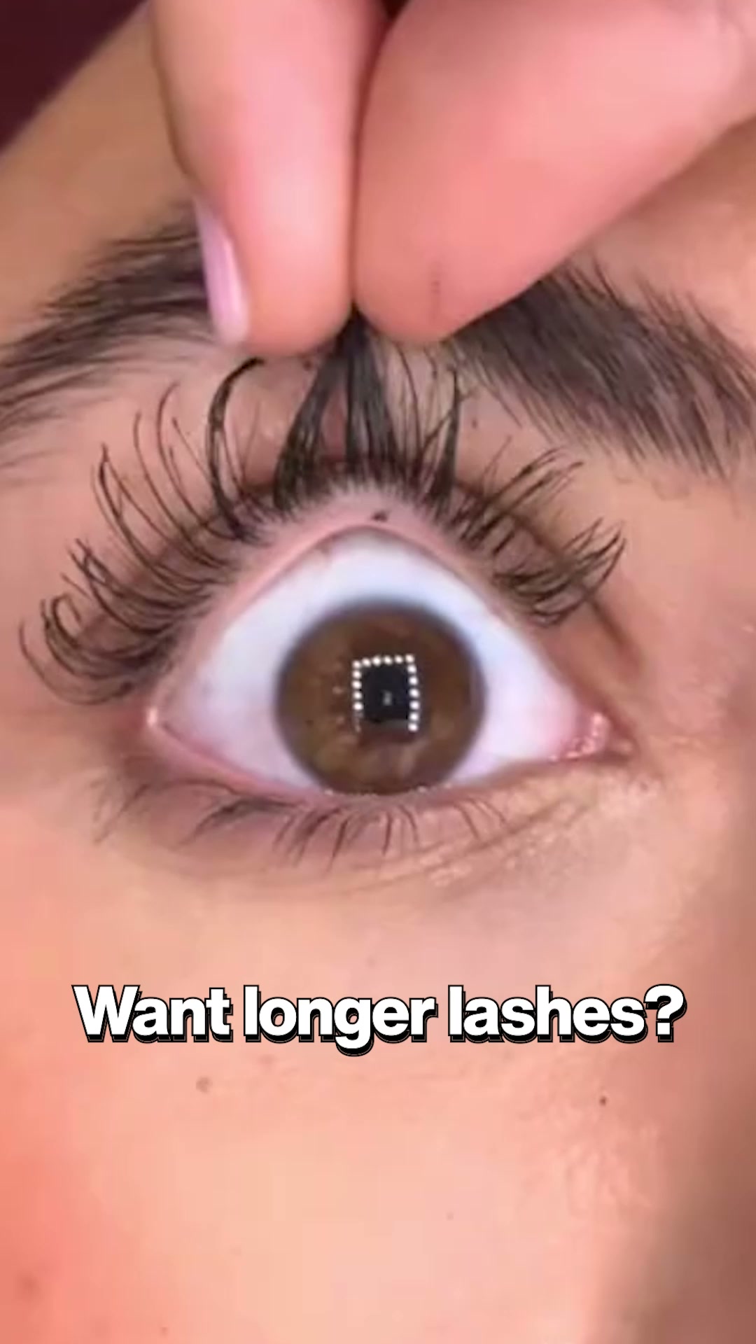 Nourish Mantra Facebook ad: Grow Your Dream Lashes