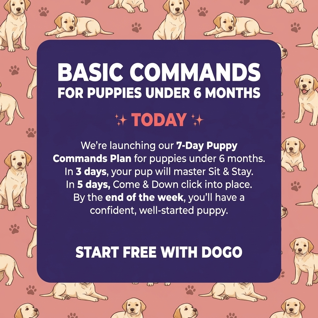 Dogo Facebook ad