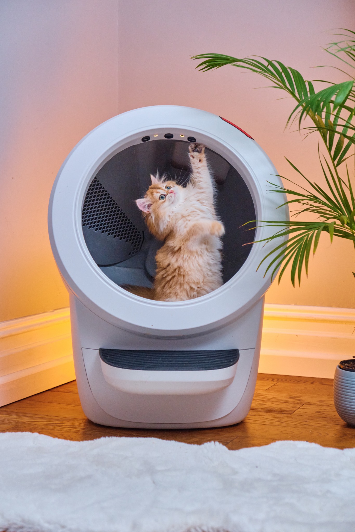 Litter-Robot by Whisker Facebook ad
