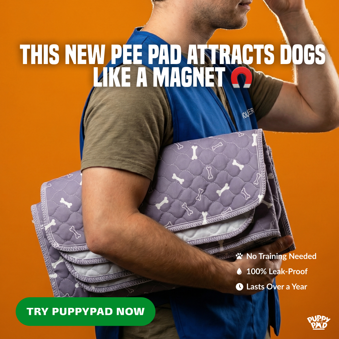PuppyPad Facebook ad