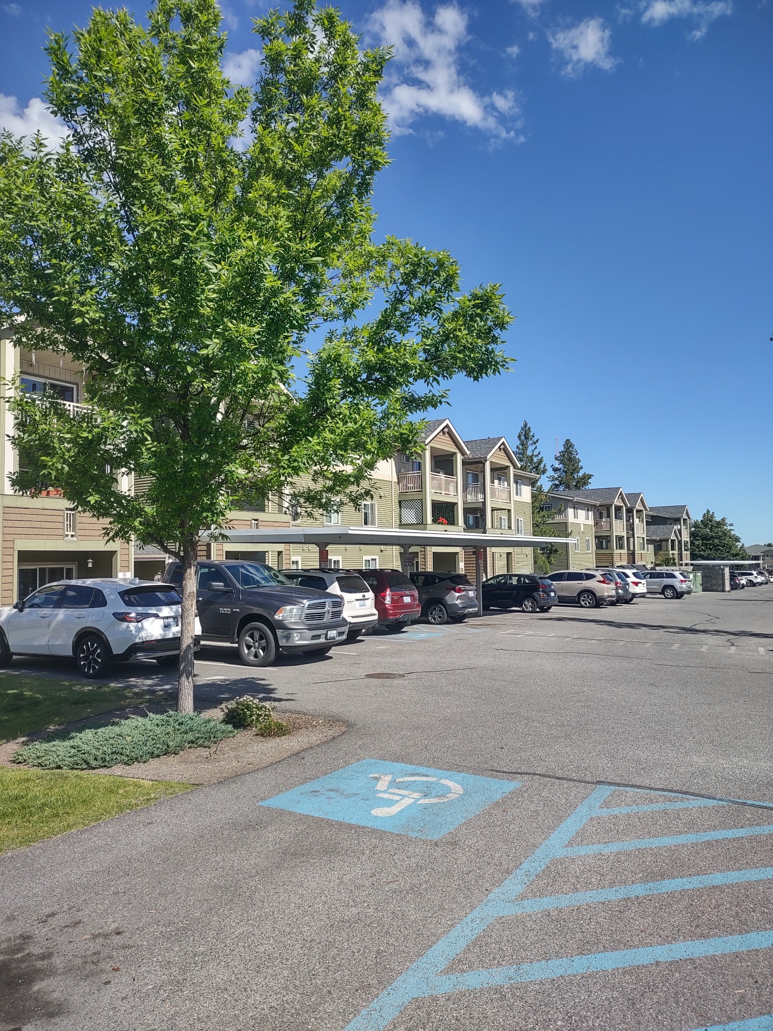 Affordable Apartments - Washington Facebook ad: Need affordable housing with plenty of space for…