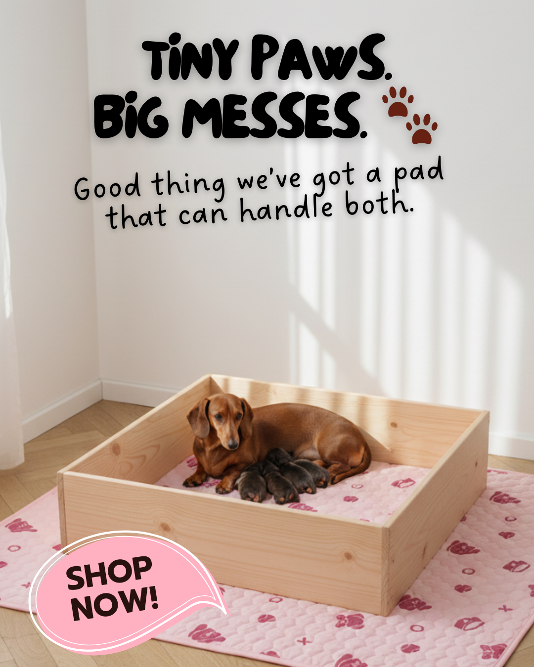 Potty Buddy Facebook ad