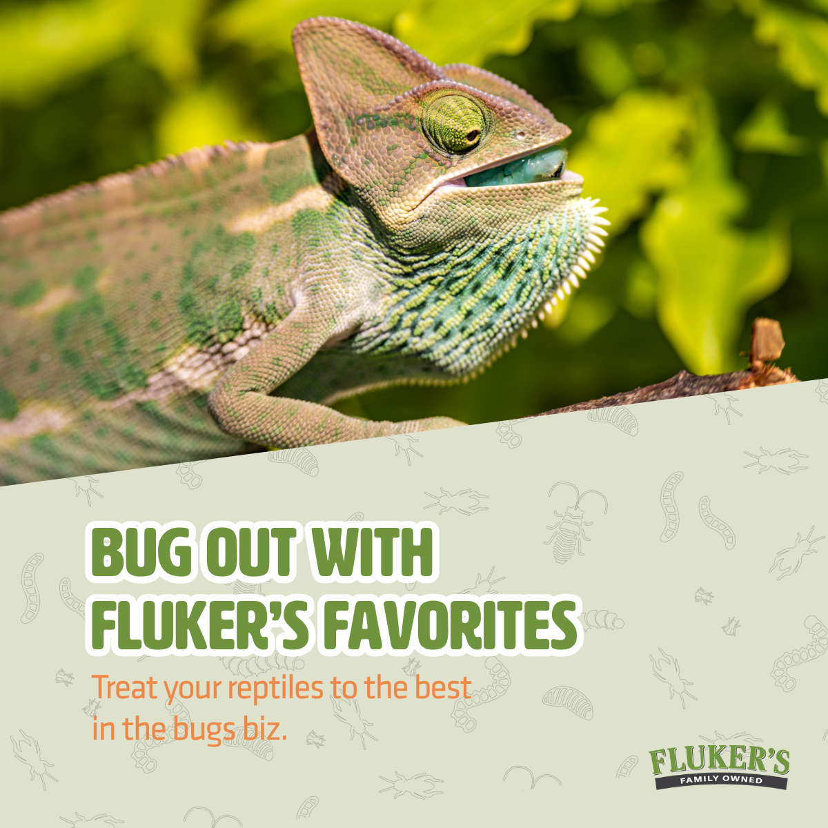 Fluker Farms Facebook ad