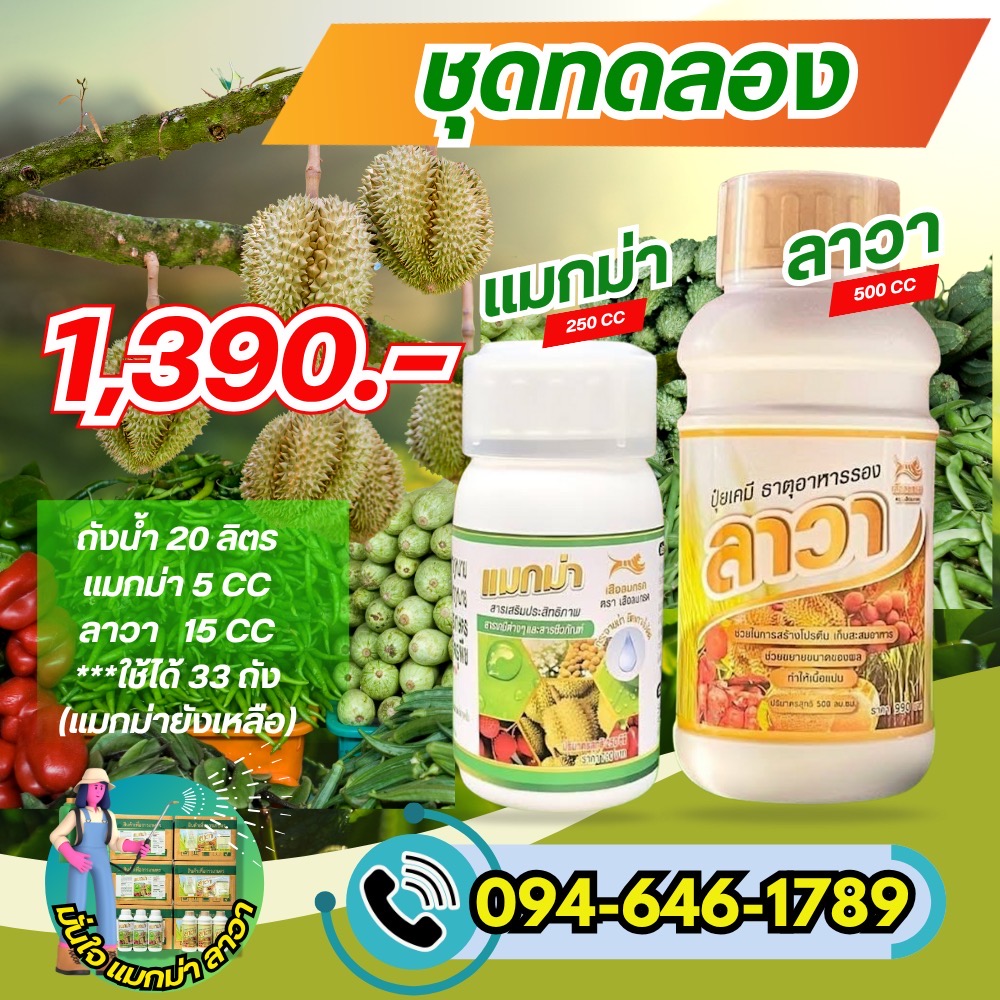 แมกม่า ลาวา ผู้ช่วยเกษตรกร Facebook ad: 4 โปรโมชั่นสุดคุ้ม สุดประหยัด ลดต้นทุน เพิ่มผลผลิต