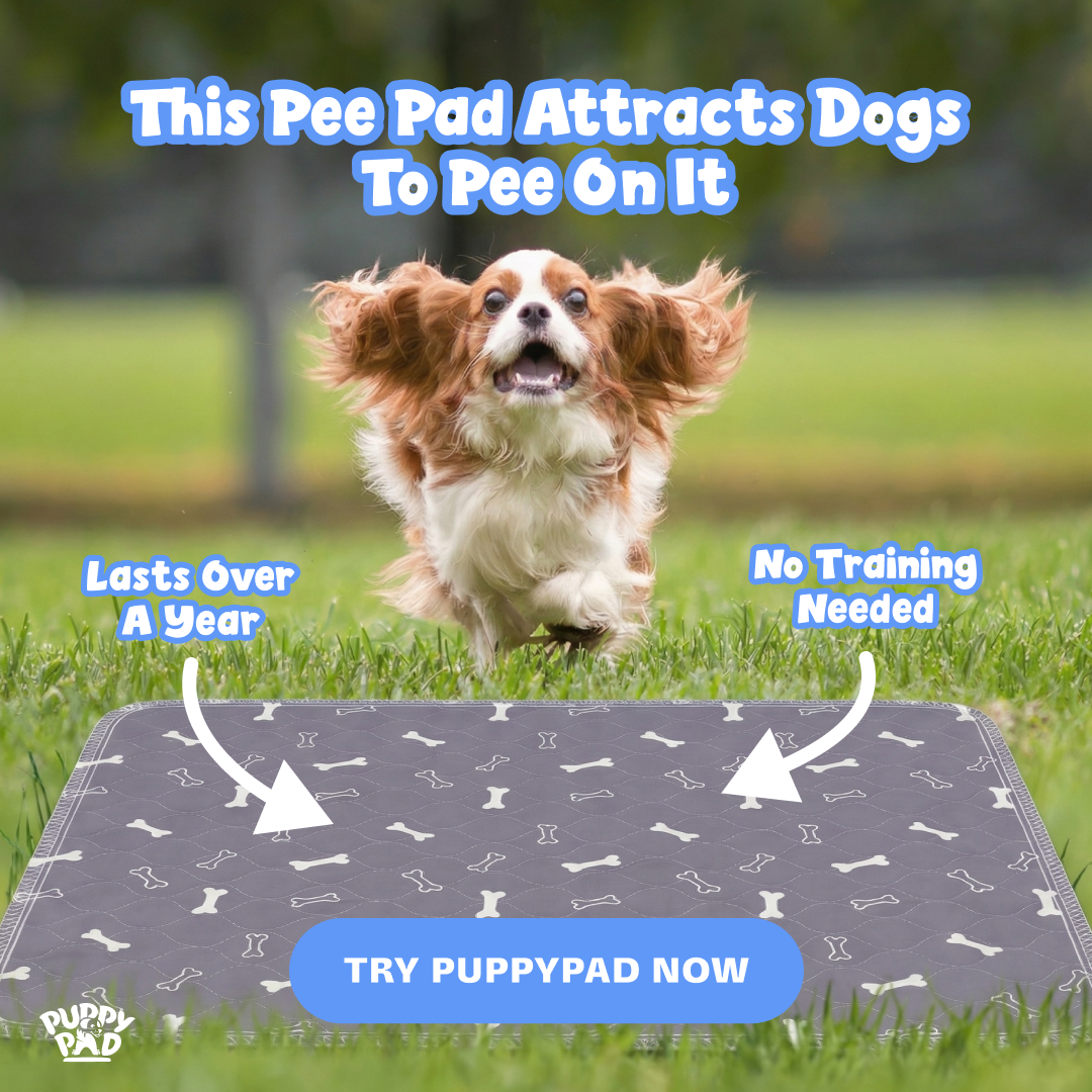 PuppyPad Facebook ad