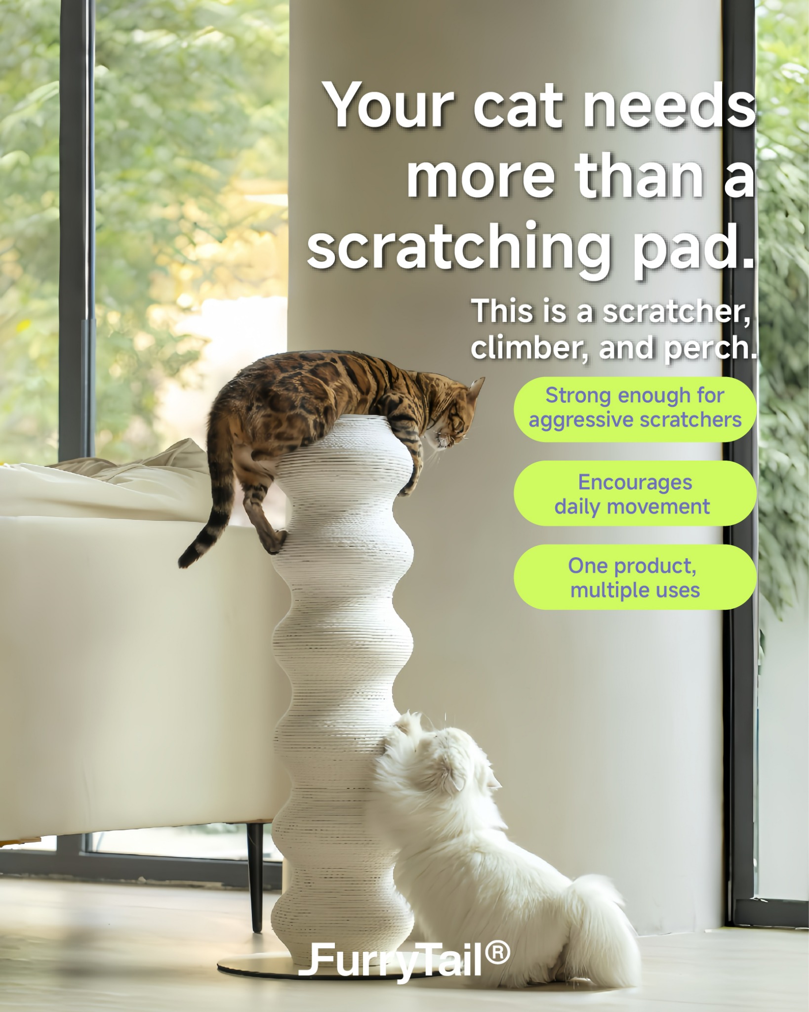 Furrytail_us Facebook ad