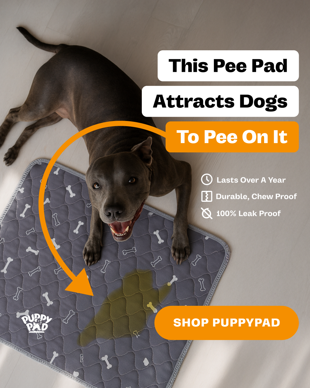 PuppyPad Facebook ad