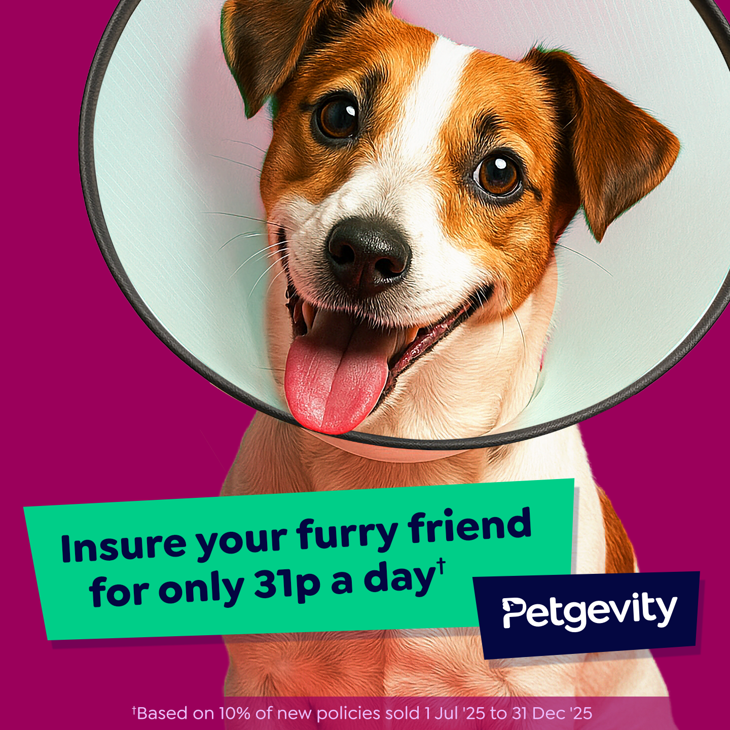 Petgevity UK Facebook ad