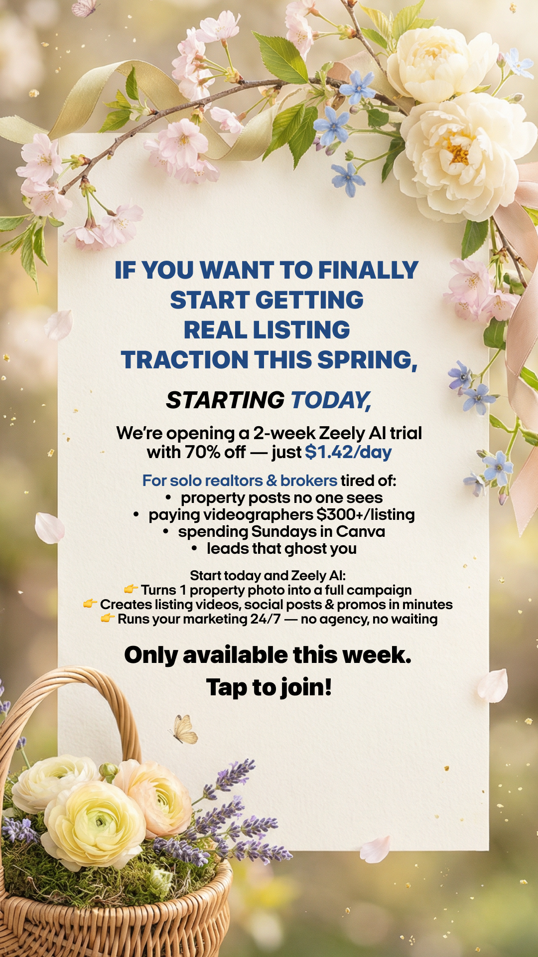 Zeely Facebook ad