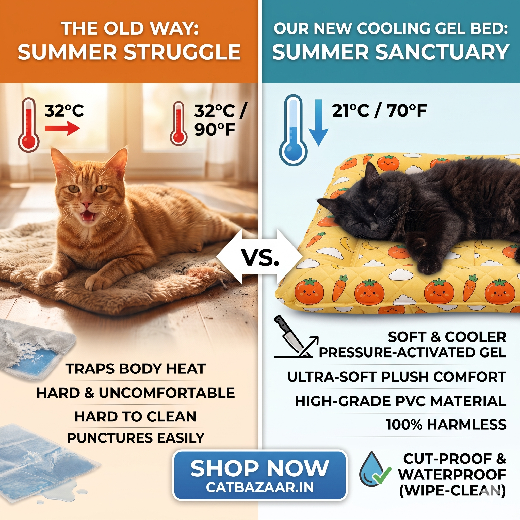 Catbazaar.in Facebook ad