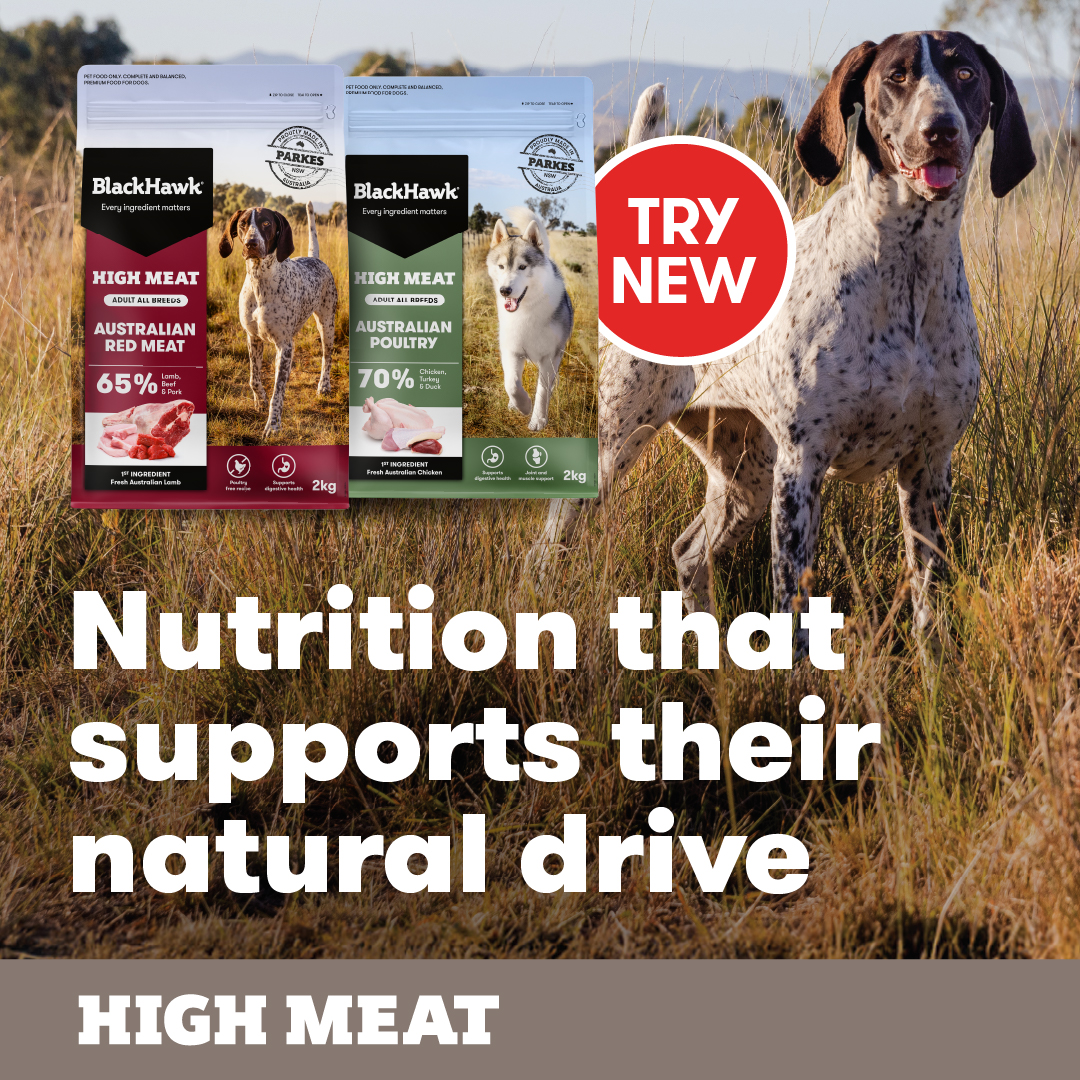 Black Hawk Pet Care New Zealand Facebook ad: Made with fresh Australian meat, Black Hawk High…