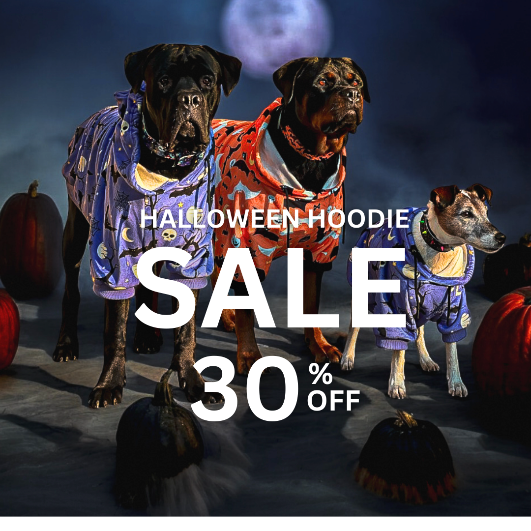 Spark Paws Facebook ad