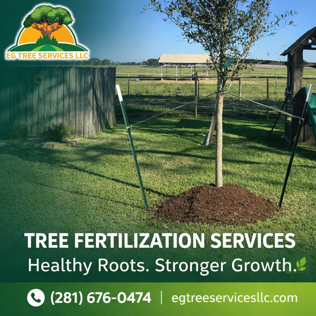EG TREE Services LLC  Facebook ad