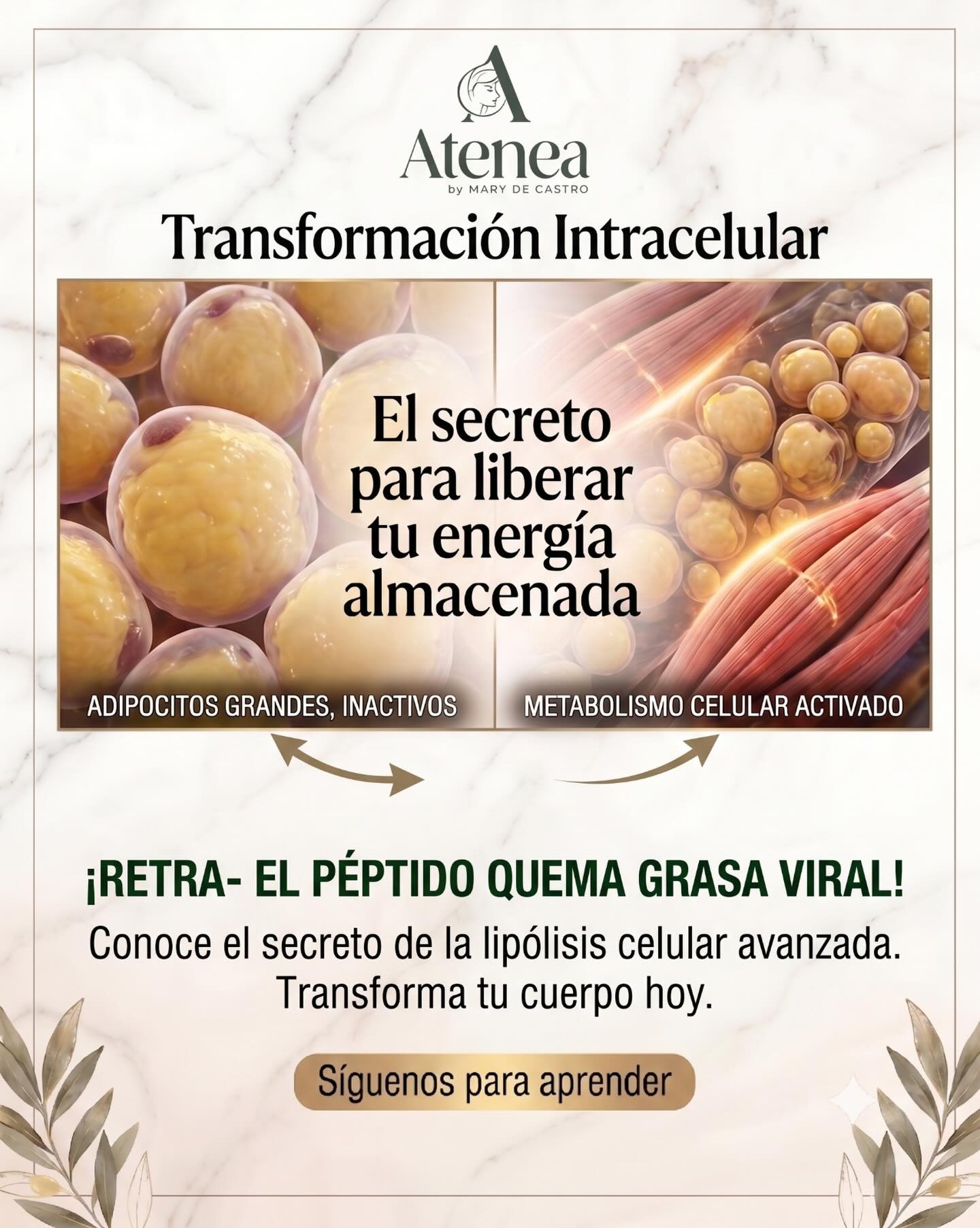 Atenea Estética y Relajación Facebook ad: Tu cuerpo no está en contra tuya, solo…