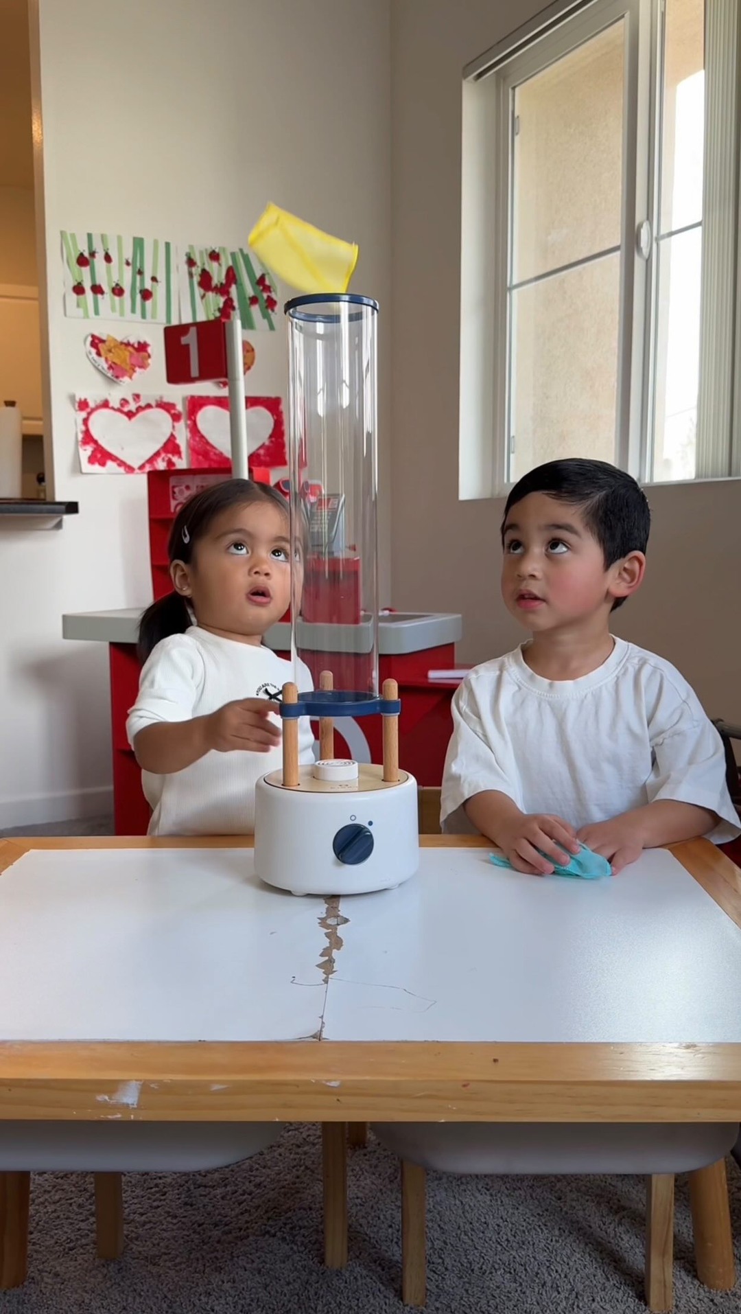 KiwiCo Facebook ad: Bring home your own wind tunnel with this…