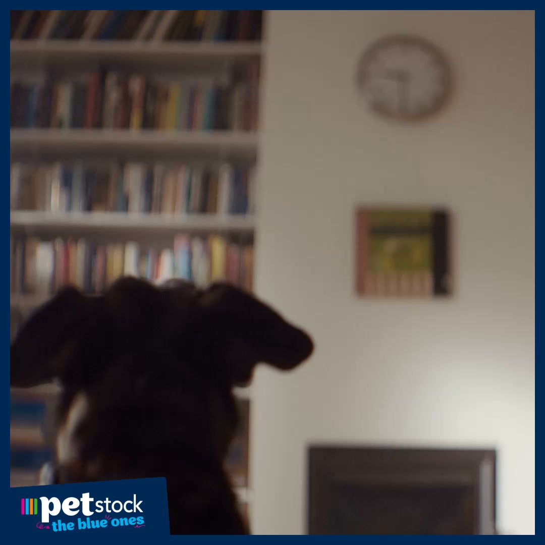 Petstock Facebook ad: Gift with purchase