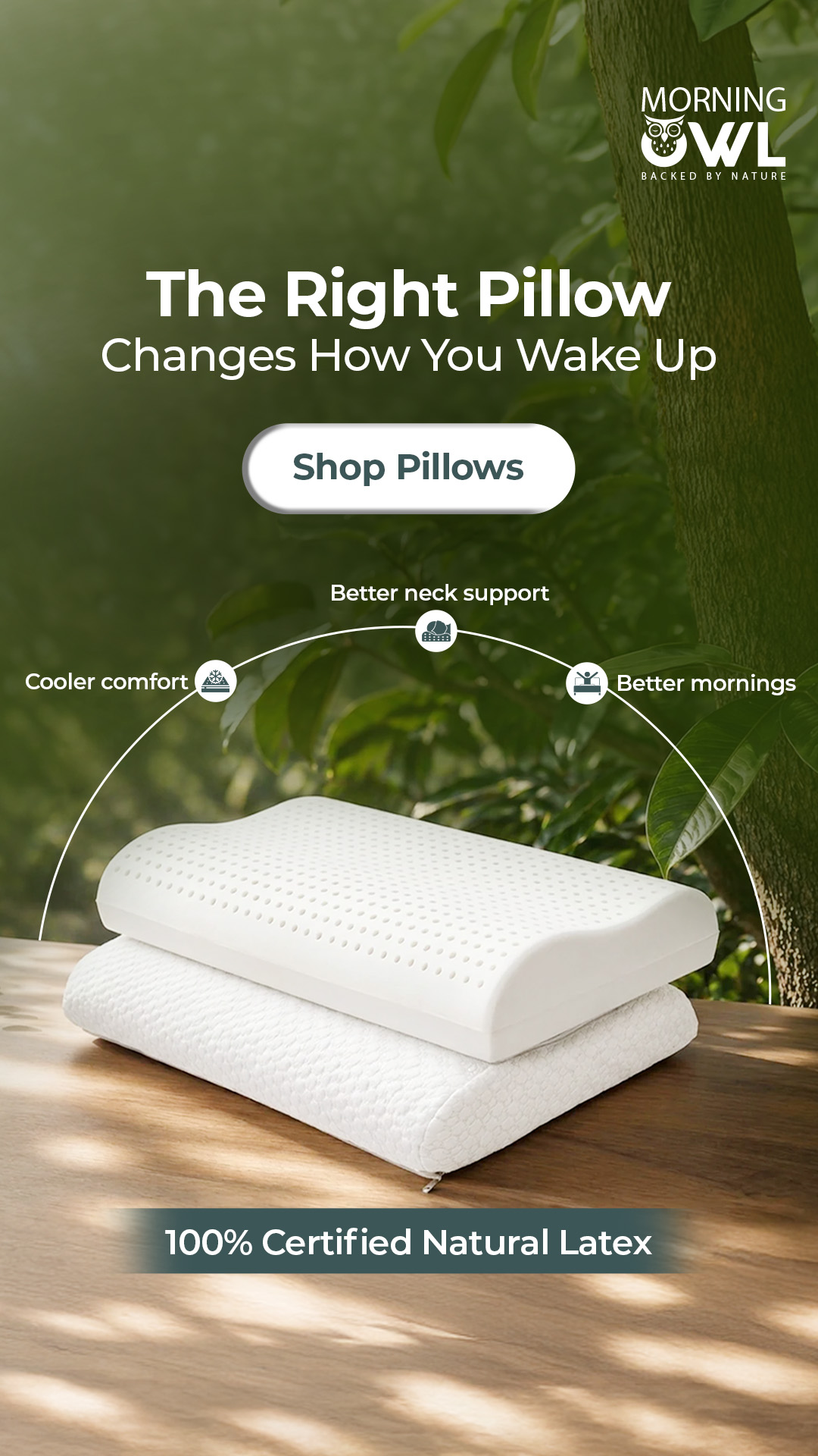 My Morning Owl Facebook ad from Jun 29, 2026