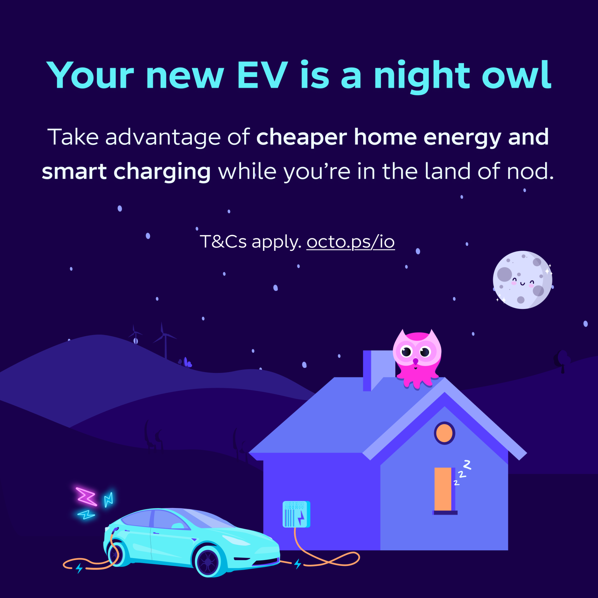 Octopus Energy Facebook ad