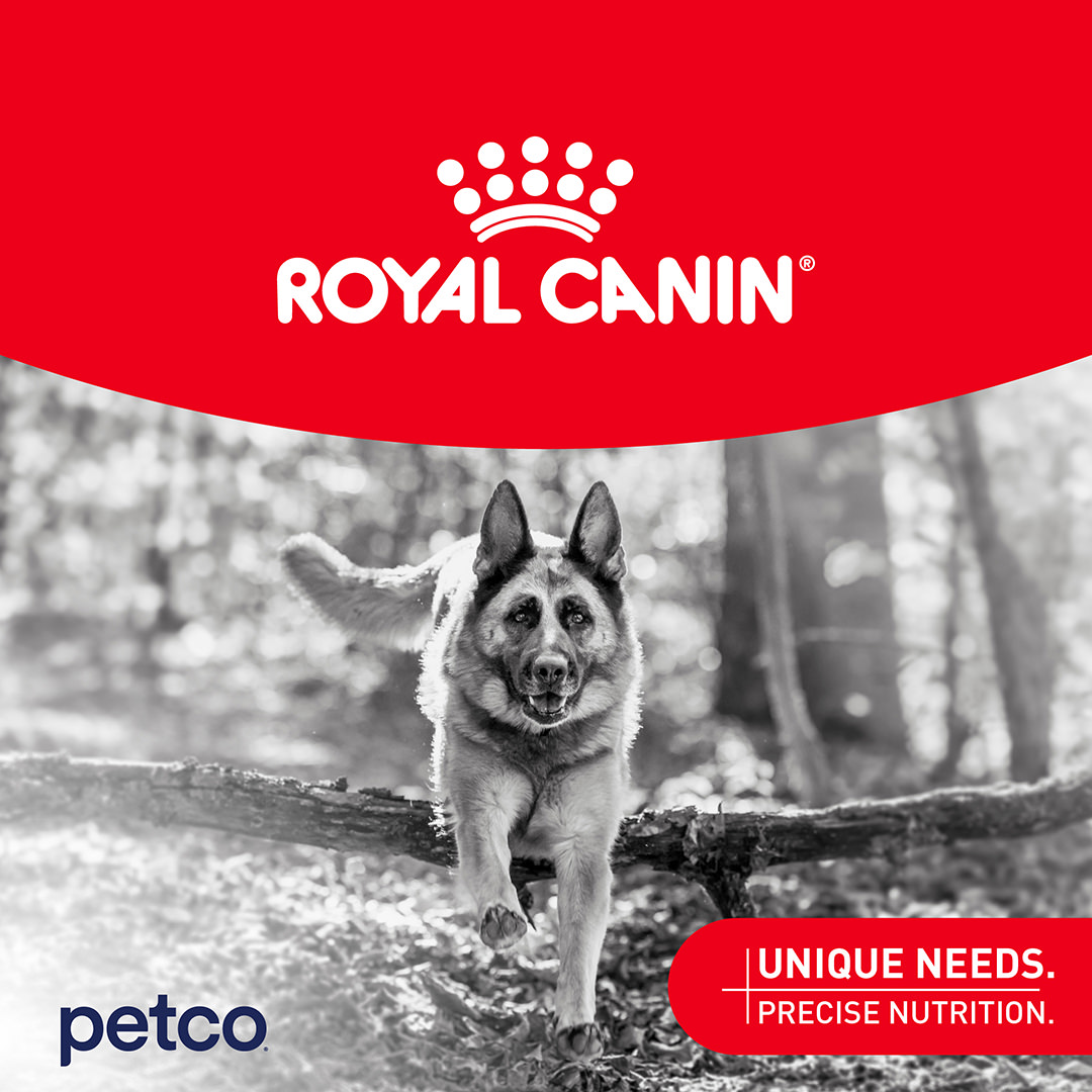 Petco Facebook ad