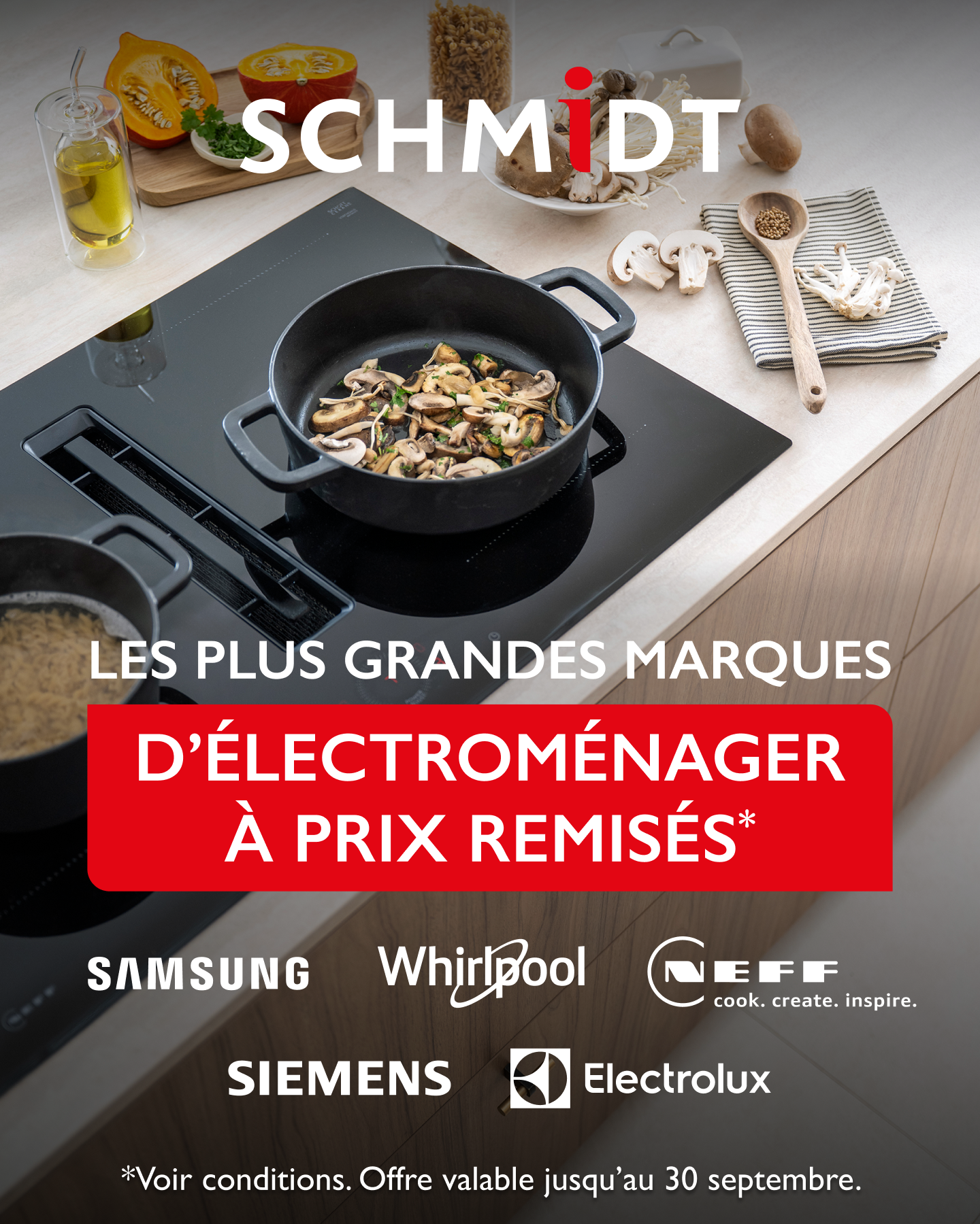 Schmidt Facebook ad