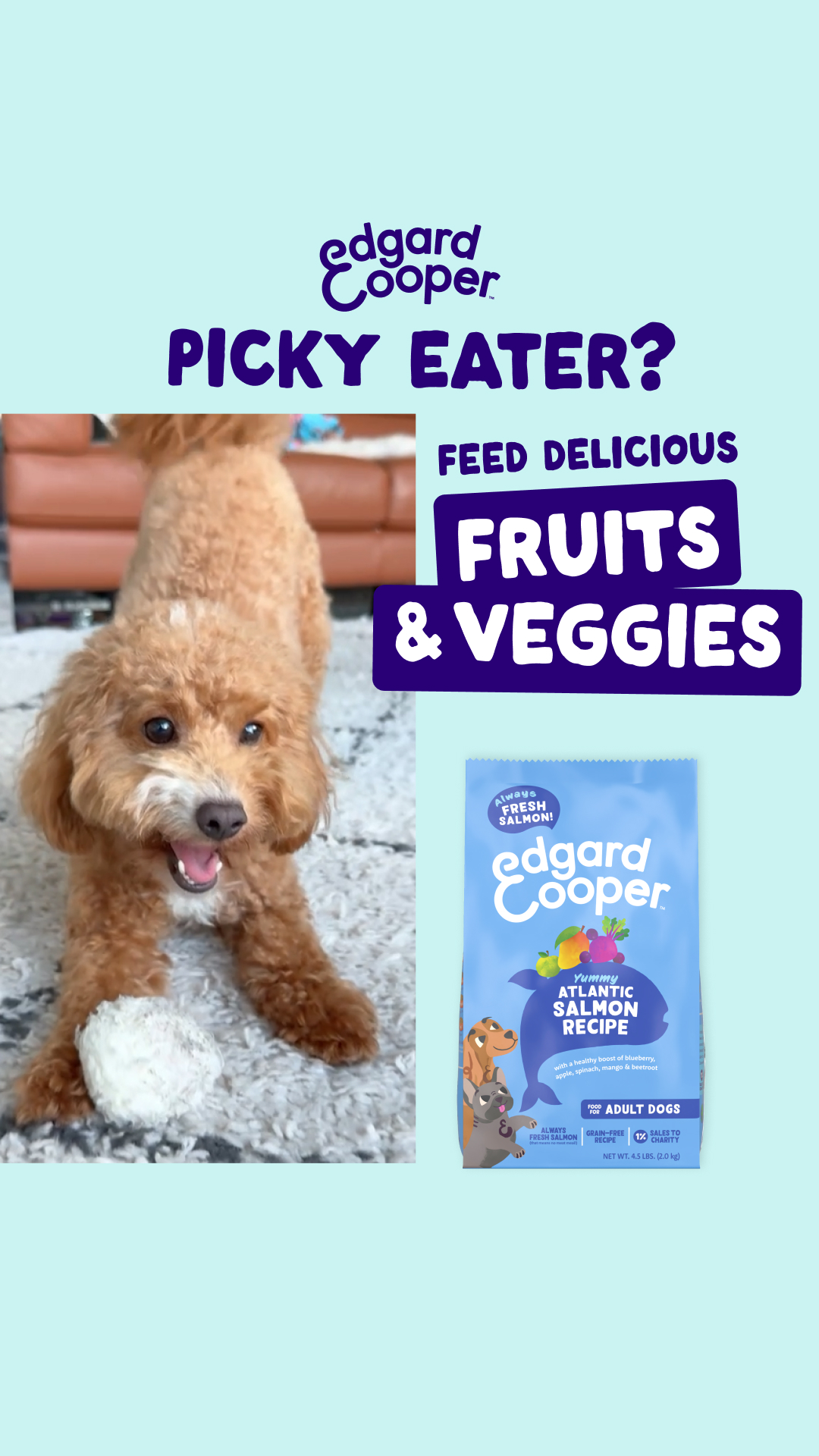 Edgard & Cooper Facebook ad from Feb 25, 2026