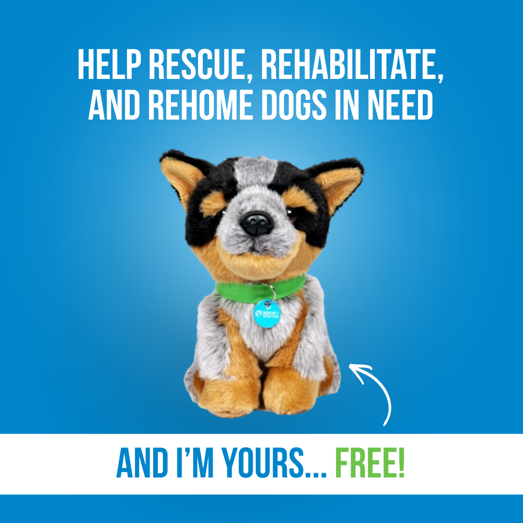 RSPCA Victoria Facebook ad