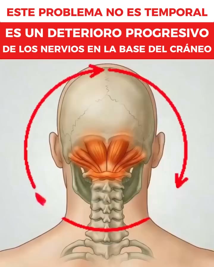 Dra. Francisca Godoy Baeza Facebook ad: #1 El mejor masajeador para liberar la tensión diaria