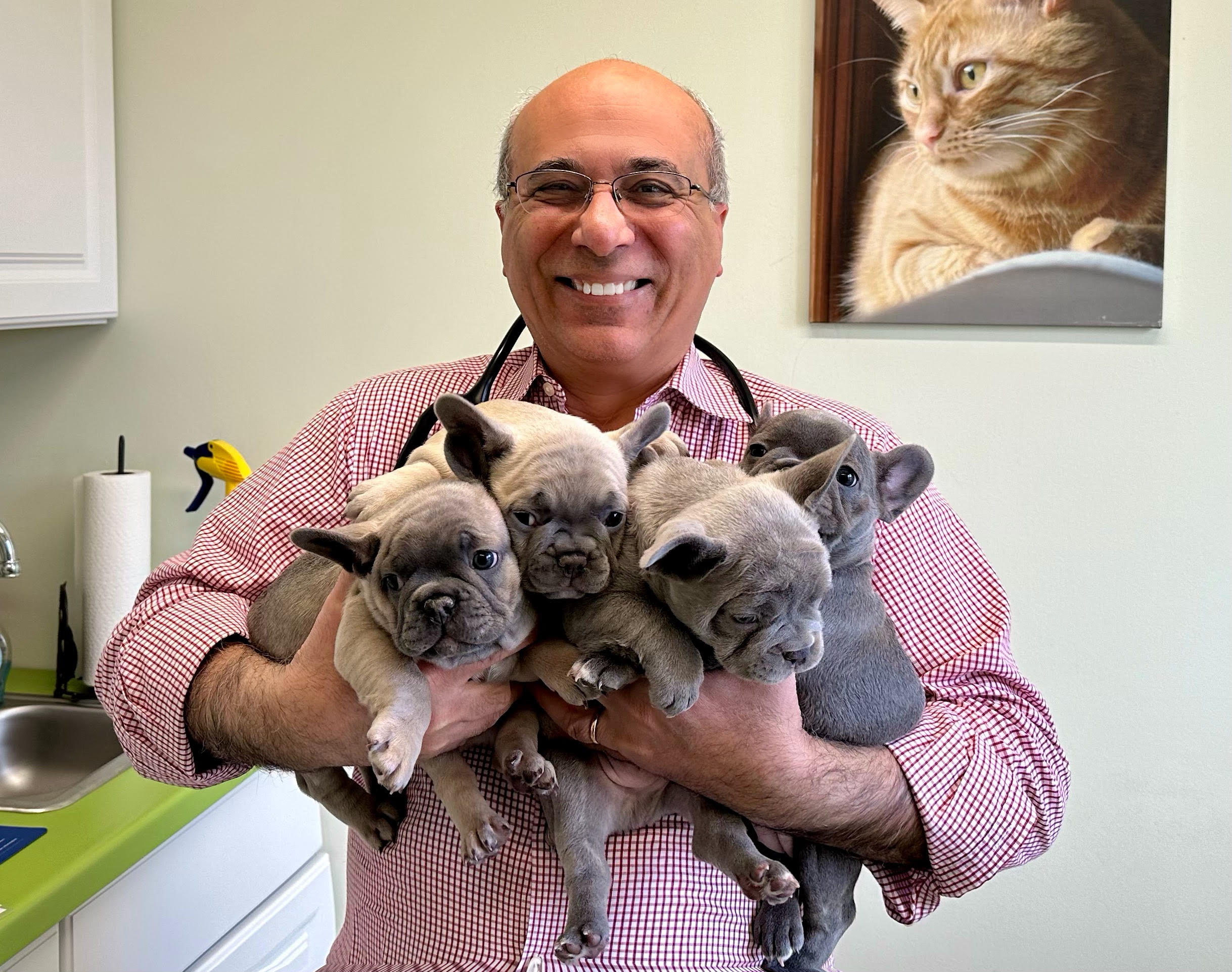 Good Shepherd Veterinary Hospital Facebook ad: Home - Good Shepherd Veterinary Hospital