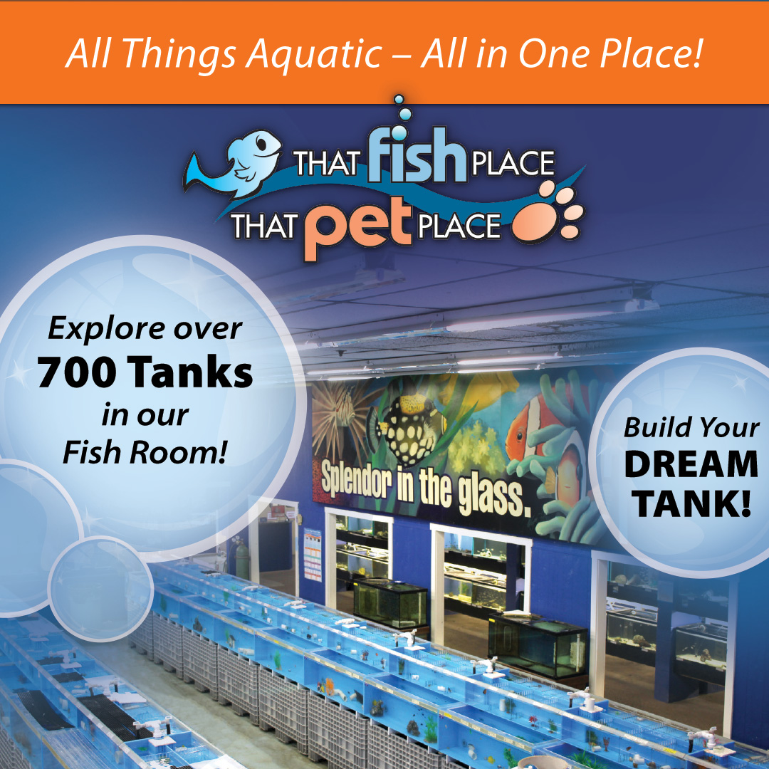That Fish Place-That Pet Place Facebook ad