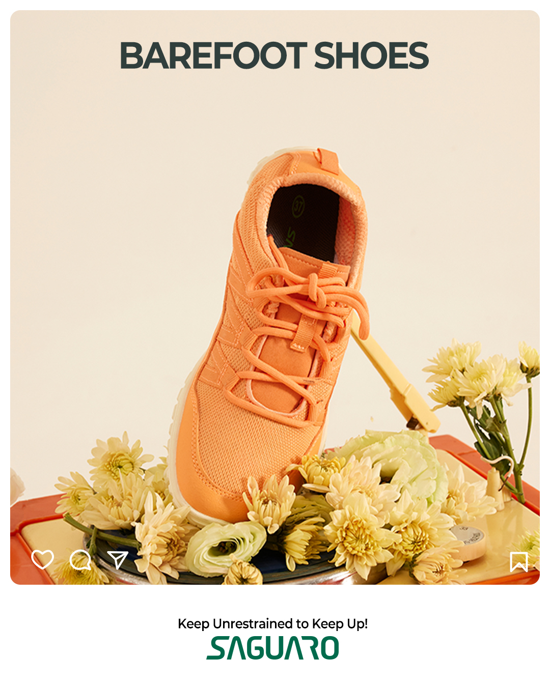 Saguaro US Facebook ad
