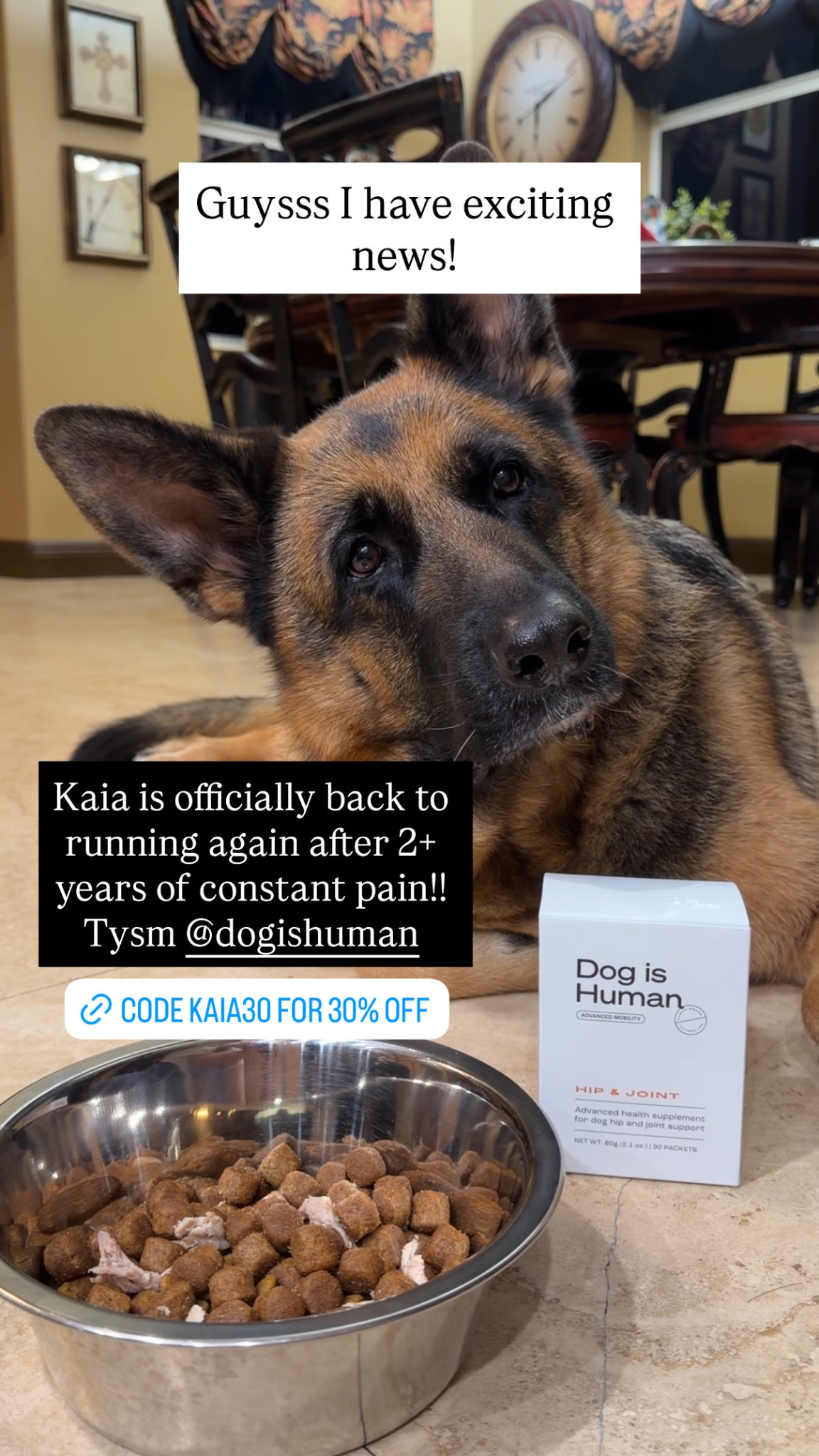 Dog is Human Facebook ad