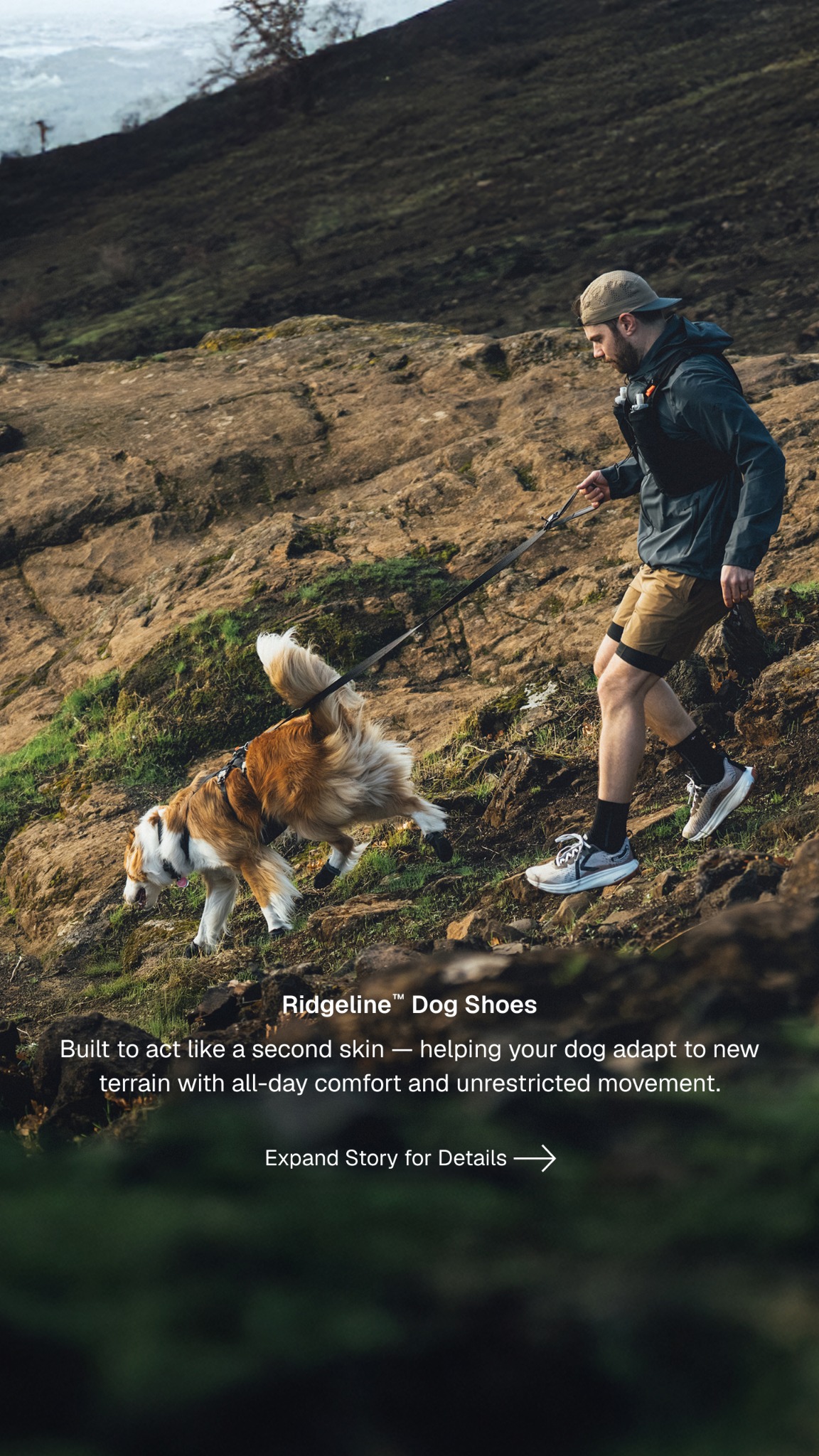 Ruffwear Facebook ad
