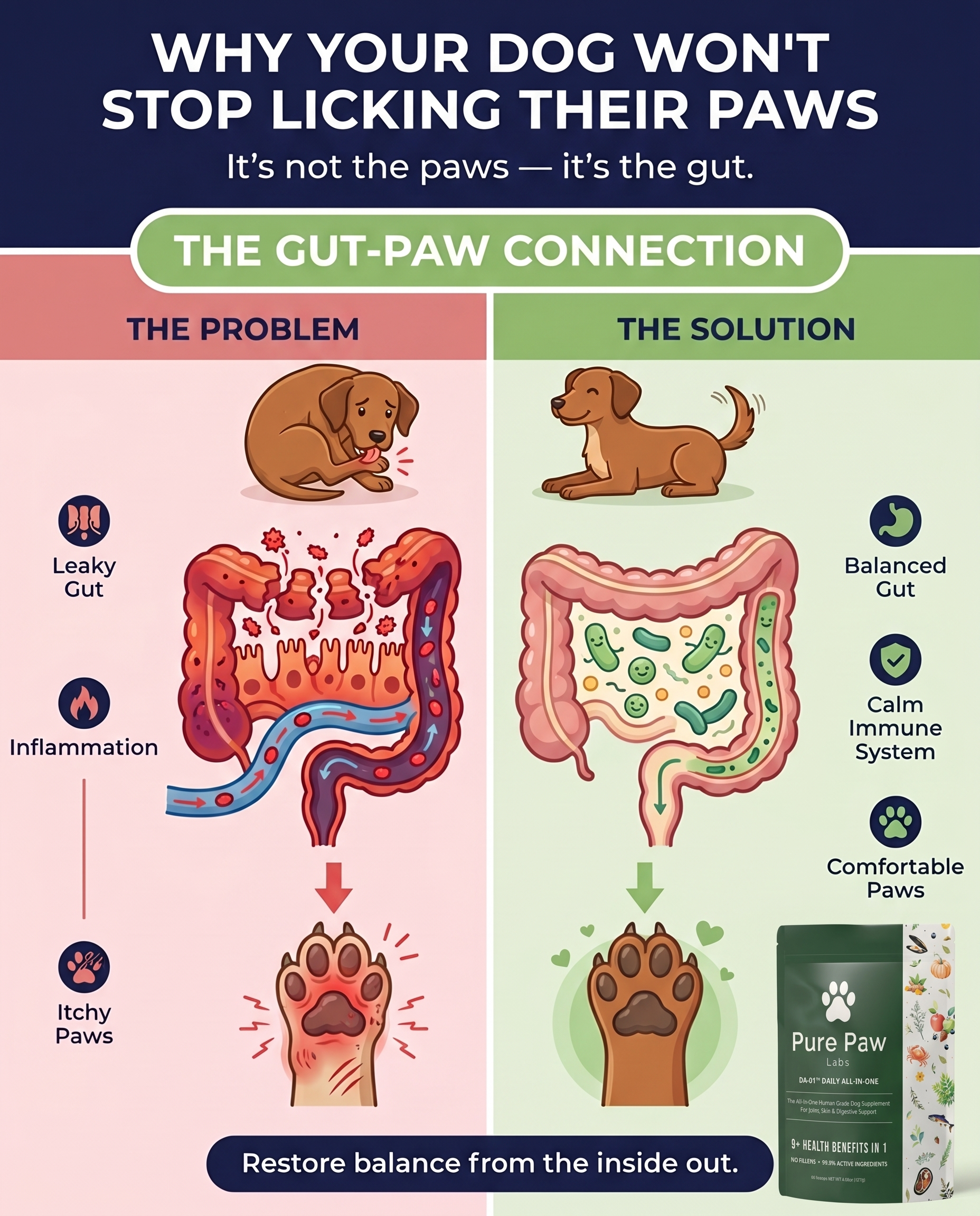 Pure Paw Labs Facebook ad