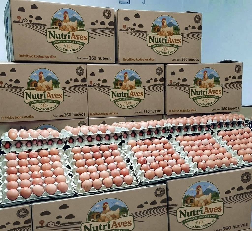 NutriAves Facebook ad: *¡BIENVENIDOS A HUEVOS NUTRIAVES!*