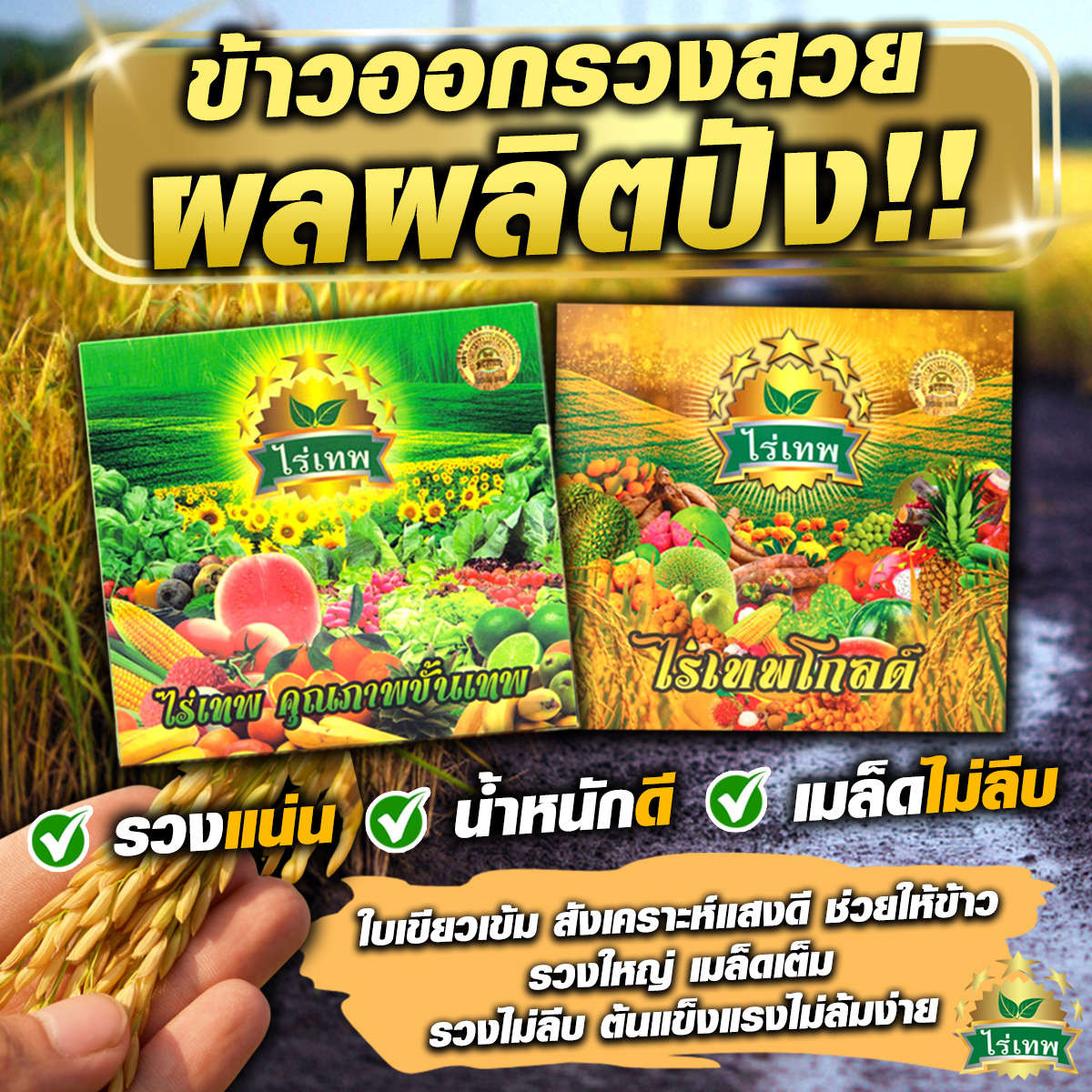 ไร่เทพ Facebook ad