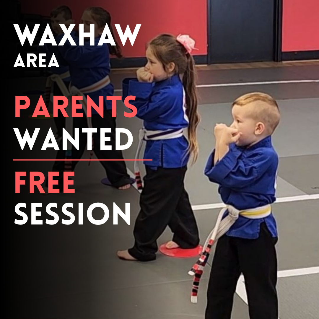 PowerHouse Karate Facebook ad