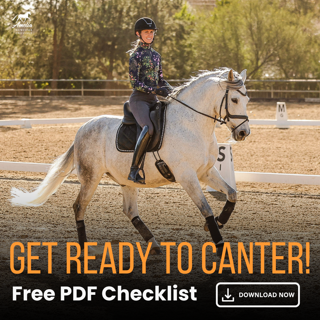 Amelia Newcomb Dressage Facebook ad from Jun 8, 2026