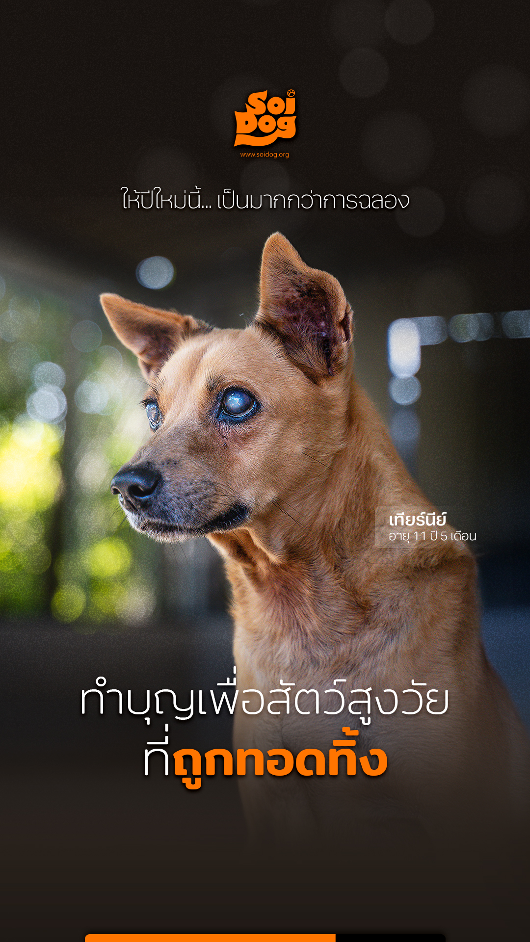 มูลนิธิเพื่อสุนัขในซอย, ประเทศไทย (Soi Dog - in Thai) Facebook ad