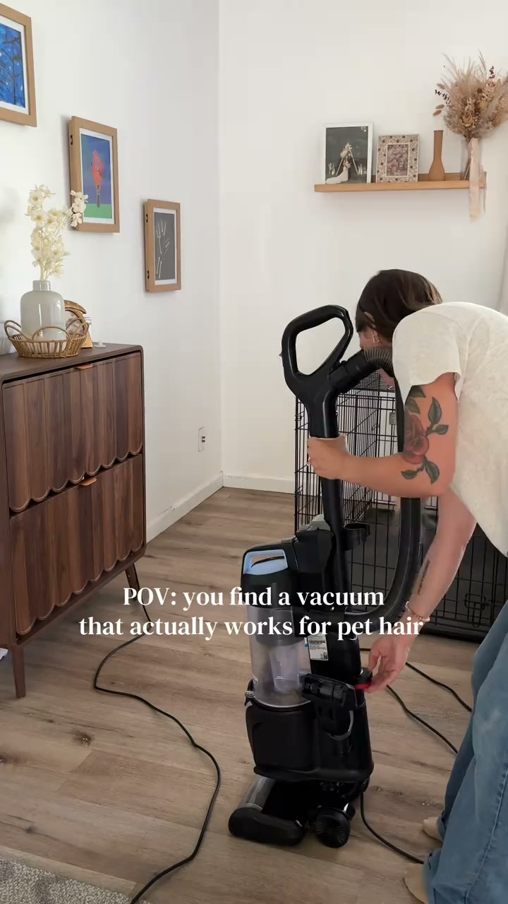 BISSELL Facebook ad: Pet Hair Has Met Its Match