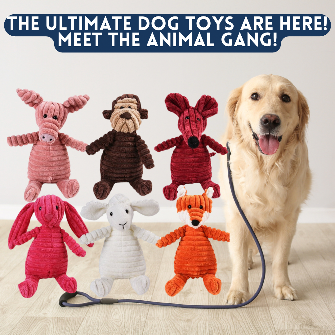 Love4MyDog Facebook ad
