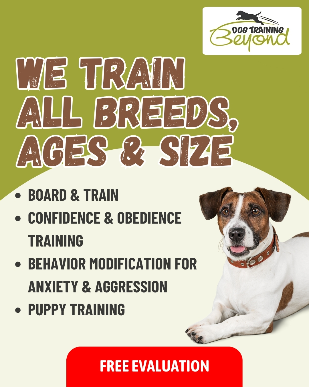 Dog Training Beyond Facebook ad: HEY POUGHKEEPSIE DOG OWNERS, STOP SCROLLING!