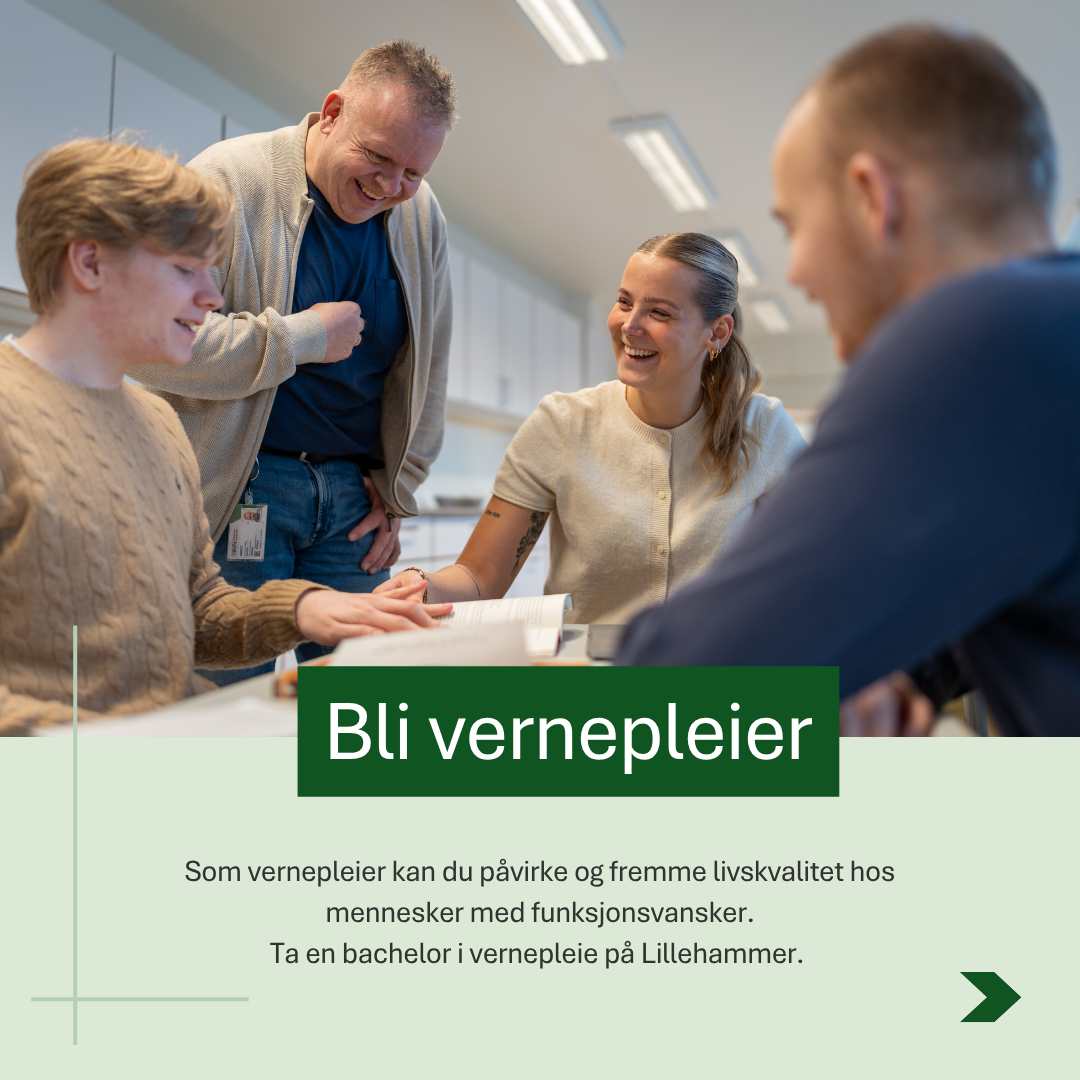 Universitetet i Innlandet Facebook ad