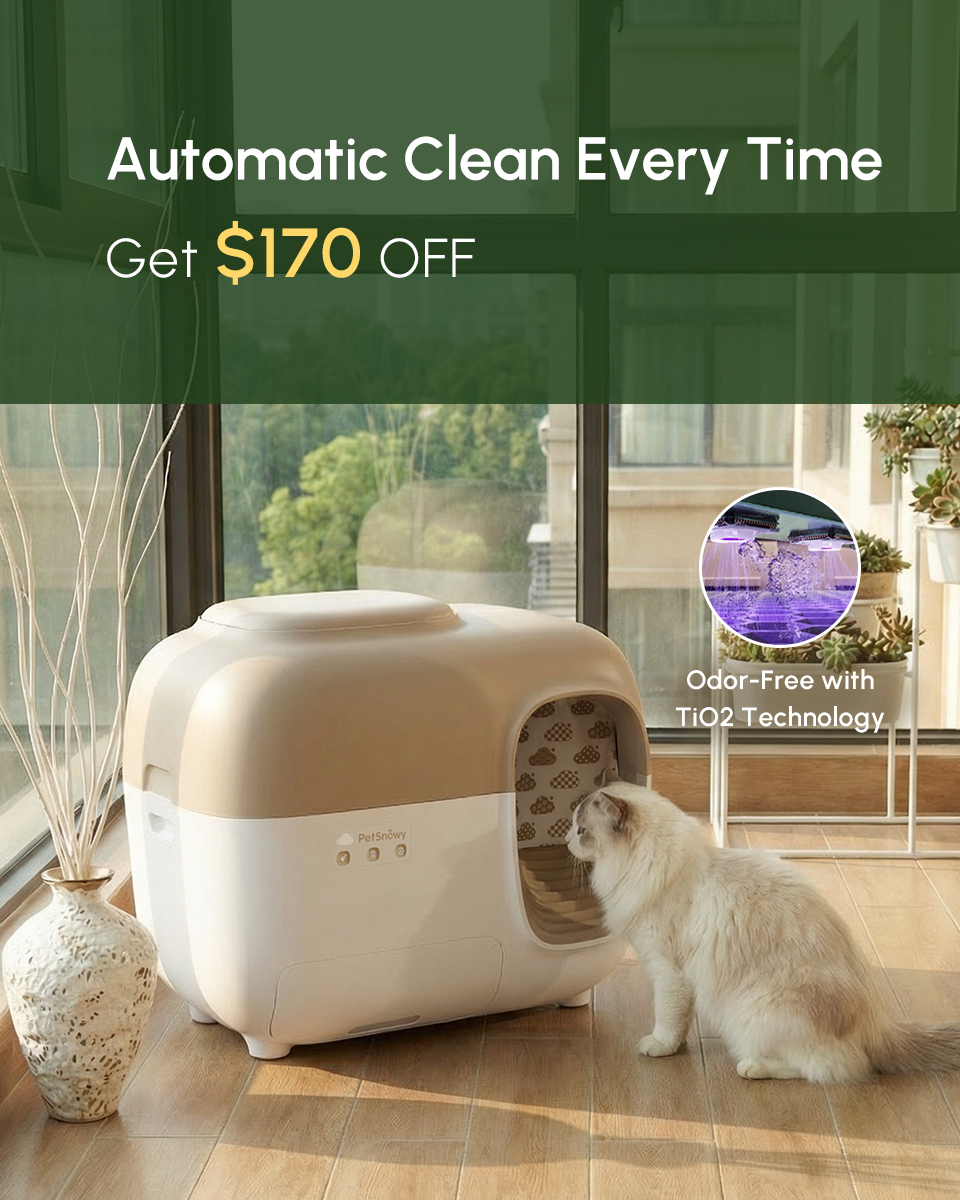 PetSnowy Facebook ad