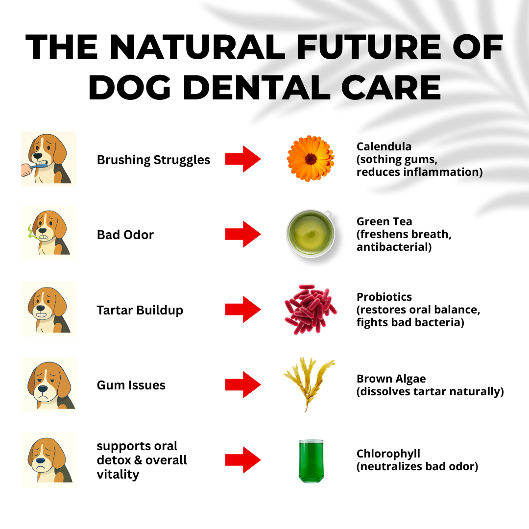 Dog Health Tips Facebook ad