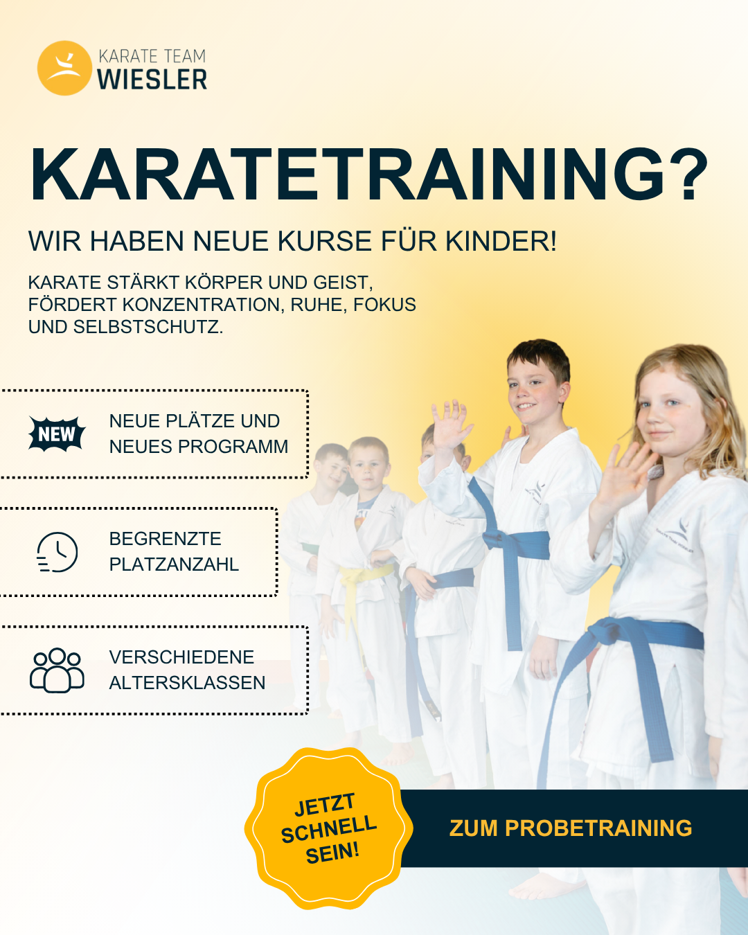 Karate Team Wiesler Facebook ad