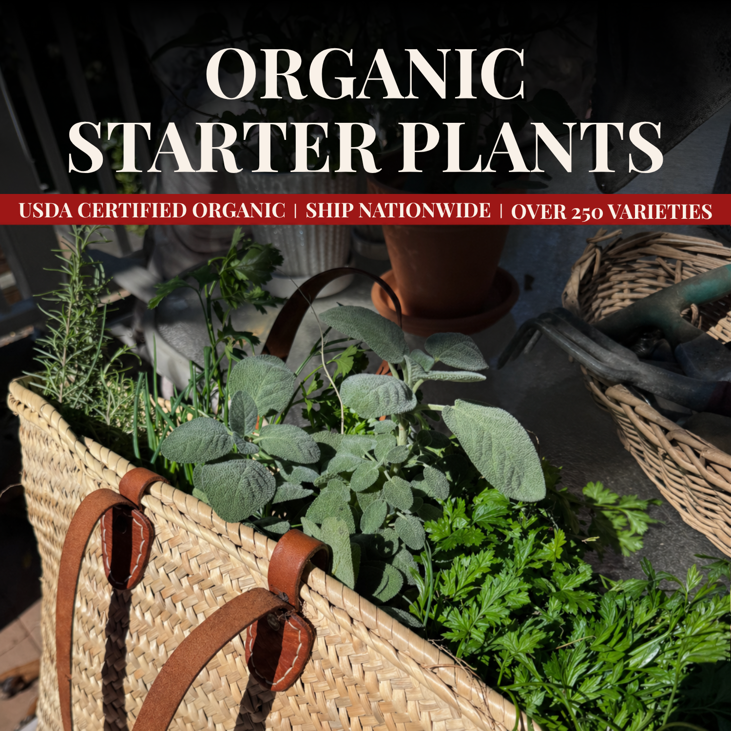 Organic Harvest Facebook ad