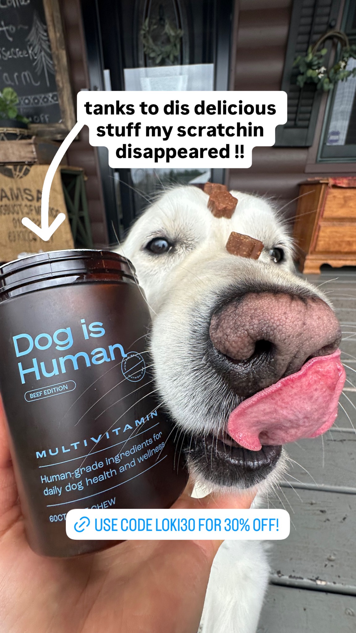 Loki The Floof Facebook ad: Daily Dog Multivitamin, Real Results