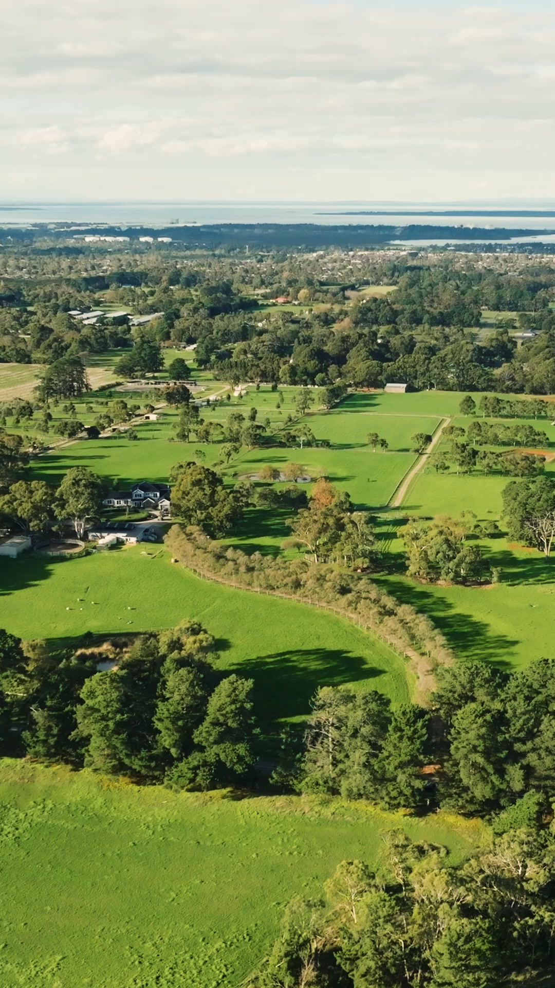 South Peninsula Stables Facebook ad: Escape to the Mornington Peninsula